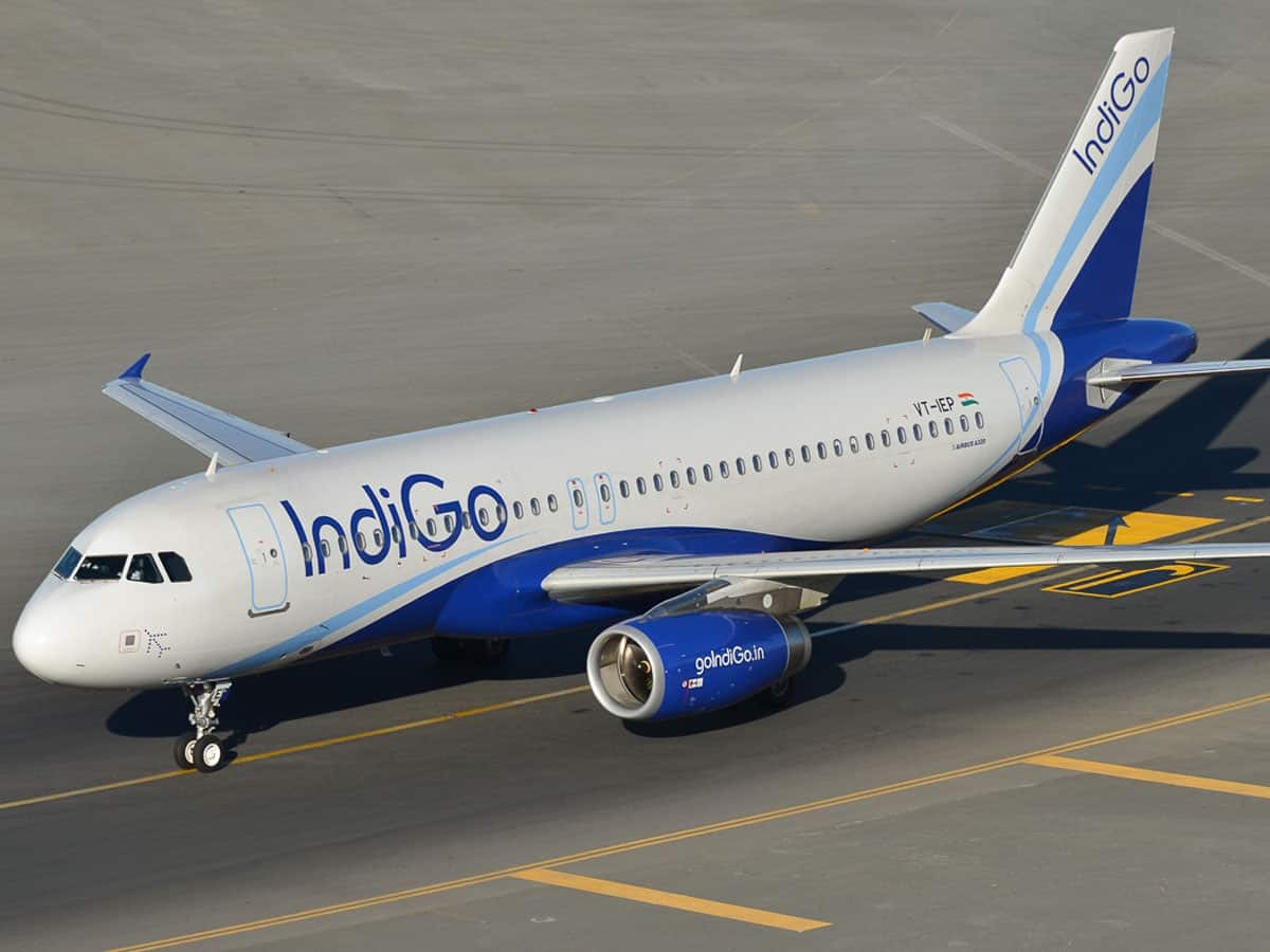 Indigo Shares Reach All-Time High on $50 Billion Airbus Order