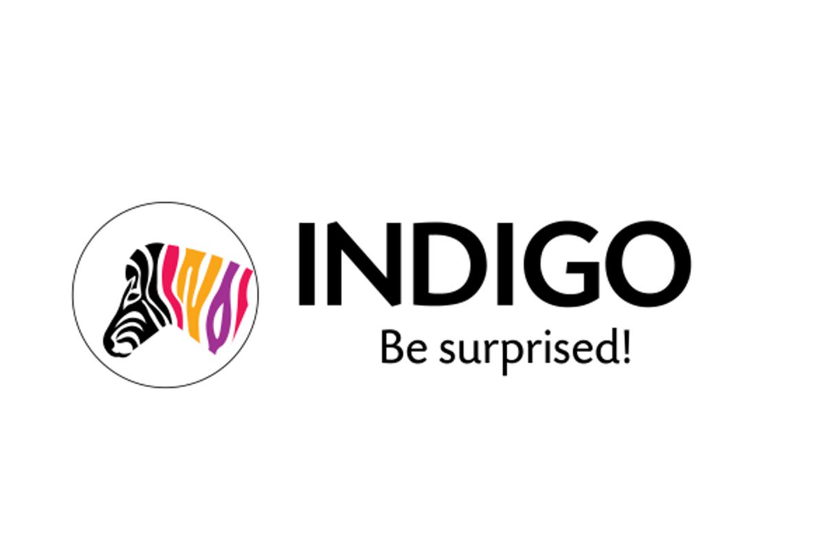 Indigo Paints Q1 Performance Decoded: A Comprehensive Analysis