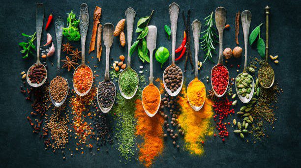 Srivari Spices and Foods: Charting a Path to Remarkable Succes