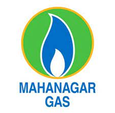 Mahanagar Gas: Q3 Surge, 3% Stock Jump on Net Profit Beat