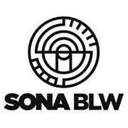 Sona BLW Share Rise